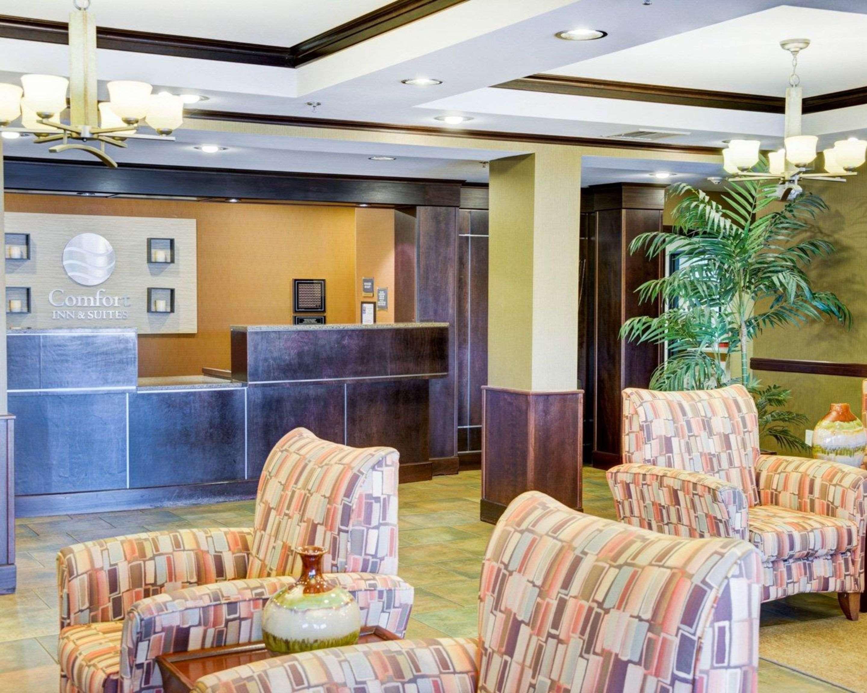 Comfort Inn & Suites Russellville I-40 Exteriér fotografie